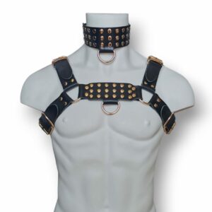 mens-harness-from-black-leather-with-golden-studs
