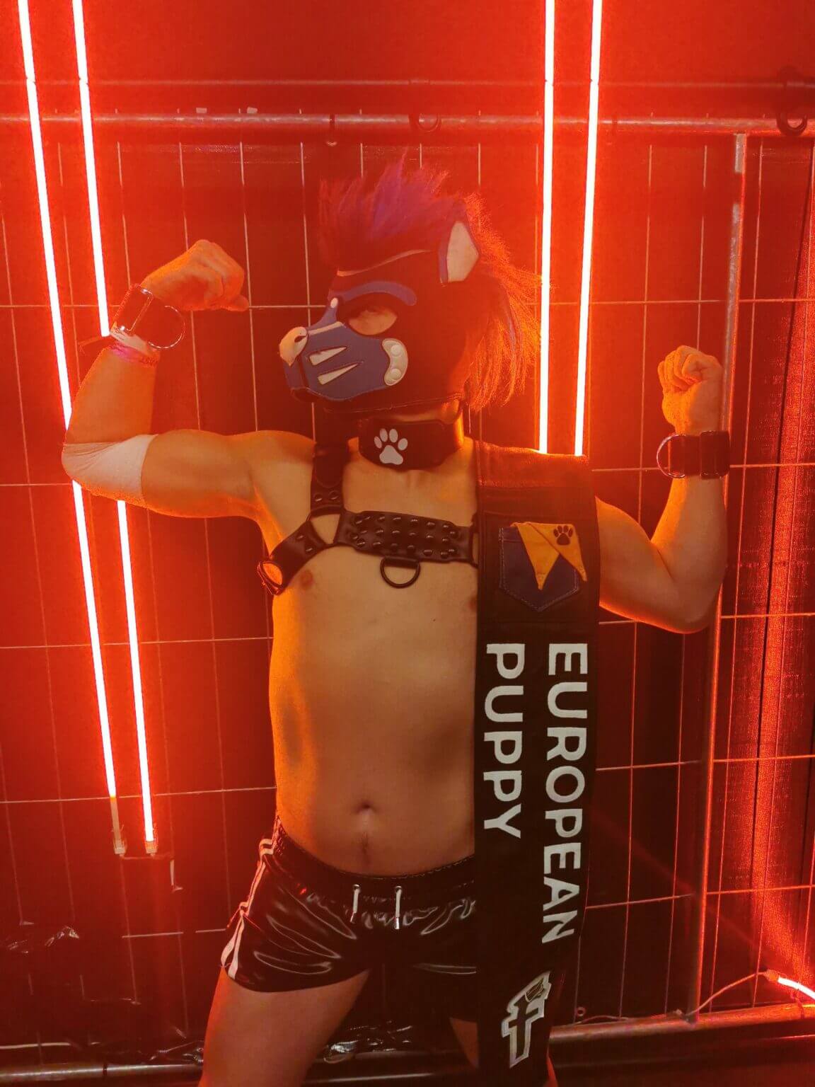 pup-play-collar-worn-by-pup-thaly